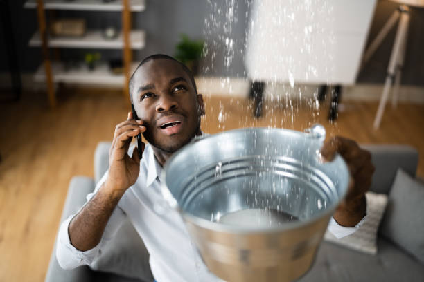 Best Professional water damage repair  in Brownfields, LA