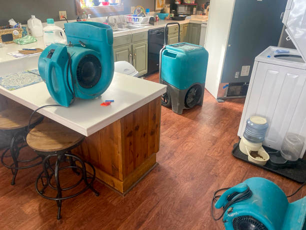Best 24/7 water damage repair  in Brownfields, LA