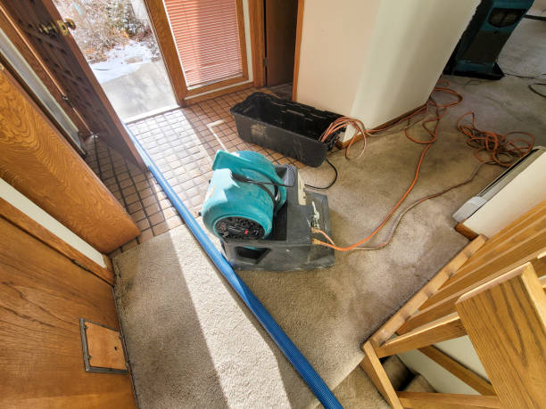 Best Water damage restoration near me  in Brownfields, LA