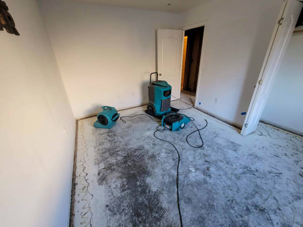 Best Mold removal after water damage  in Brownfields, LA