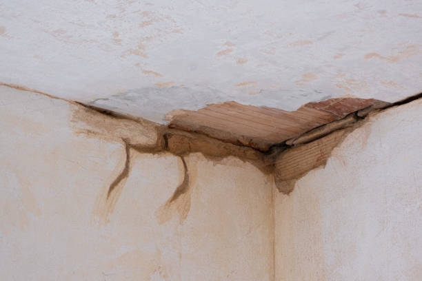 Water damage restoration process in LA
