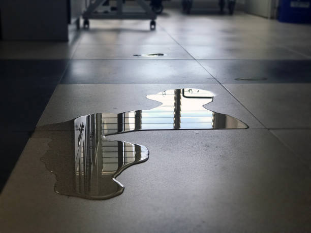 24/7 water damage repair in LA