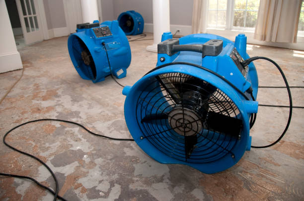 Best Water damage restoration experts  in Brownfields, LA