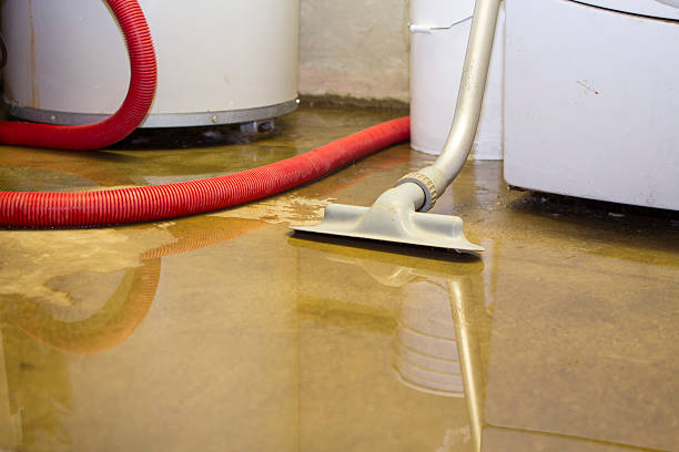 Best Water damage contractors near me  in Brownfields, LA