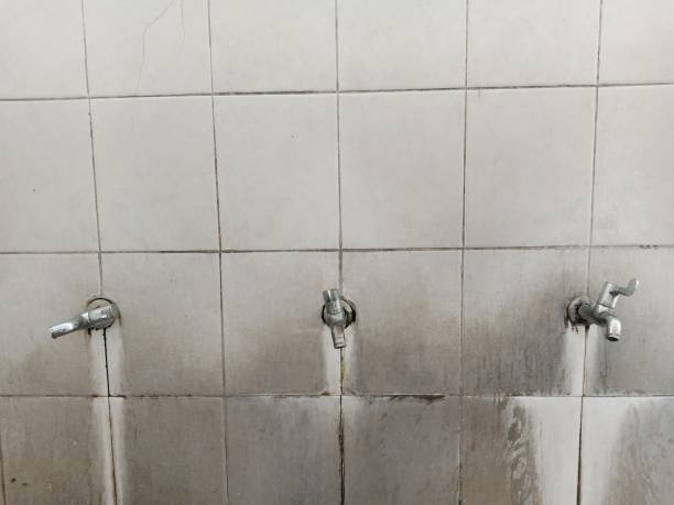 Best Commercial water damage restoration  in Brownfields, LA