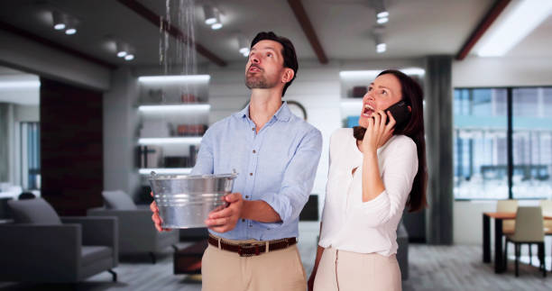 Best Local water damage restoration  in Brownfields, LA
