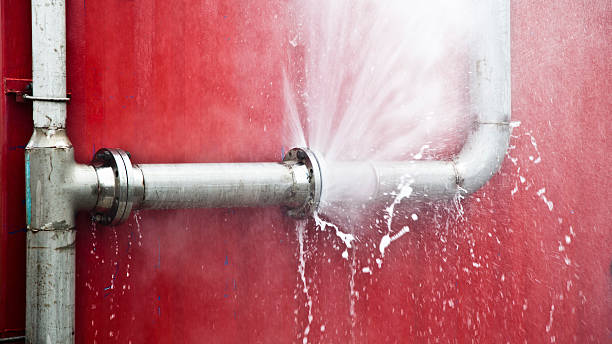 Best Basement water damage restoration  in Brownfields, LA